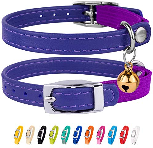 CollarDirect Leder Katzenhalsband, Sicherheitshalsband für Katzen mit elastischem Gurt, Kätzchen Band mit Glocke (Violett, 20-28 cm)
