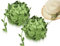 AOYEGIC 2 Rollos de Cinta para Plantas,Guirnalda de Vid Verde Artificial,Cinta Decorativa de Hojas de Hiedra,Cinta de Hojas,Guirnalda de Hiedra,cordón de Hojas,Cinta de Hojas de Vid(20 m)