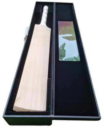 Grade 1 English Willow Cricket Bat, 34 Inch, Short Handle, Double Pressed with Box Cover, White