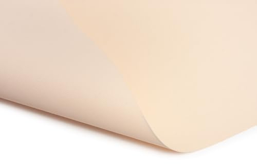 1buy3 – vattentätt polyestertyg “Atlas” med hög UV-beständighet för tält, presenningar, överdrag, persenning med mera – meterstycke, slitstarkt och lätt att rengöra (färg: 01 – beige)