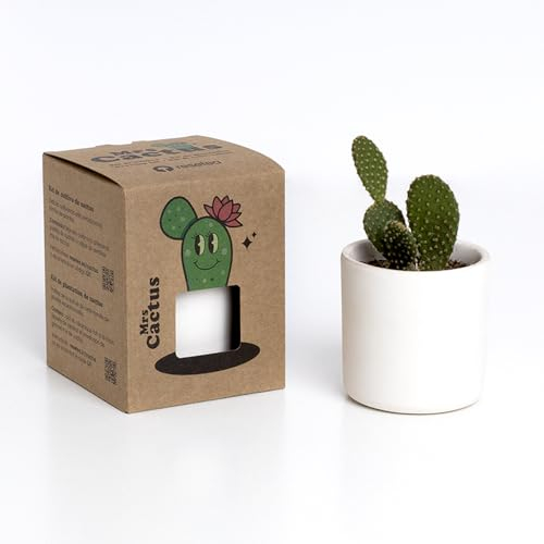 Mrs. Cactus – Kit de Cultivo de Cactus con Maceta de Barro Artesanal | Fácil de Cuidar | Purifica el Aire | Regalo Original y Decorativo | Resetea