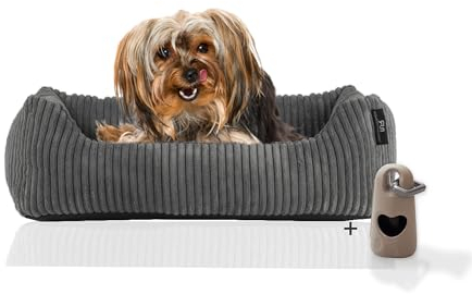Rohrschneider Hundebett waschbar für kleine und mittelgroße Hunde mit Hundekissen Cord (ca. 55 x 42 cm) inkl. Gassibeutel (Grau 55 cm, Cordstoff breit)