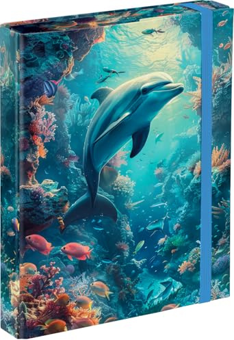 Baagl häftmapp A5 23 x 17 cm samlarmapp gummiband pojkar – delfin
