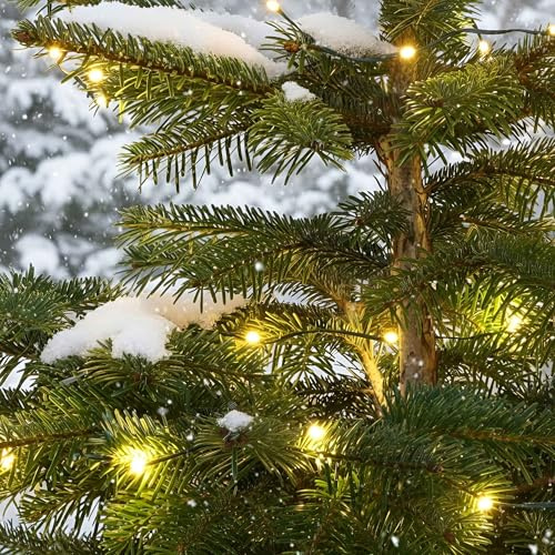 Qbis Battery Powered Outdoor Lights Multifunction with Timer. Warm White Outdoor Fairy Lights on Green Wire Perfect for Your Christmas Tree or Garland. Micro LED String Lights. (60 LED Green Wire)