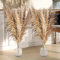 12 PCS Pampas Secas Decoracion 120CM, Grand Esponjosas Hierba Pampas Naturales Ramos de Flores Secas para Florero de Piso Boho Decoracion Arreglos Florales Boda Sala Dormitorio Balcon Interior Hogar