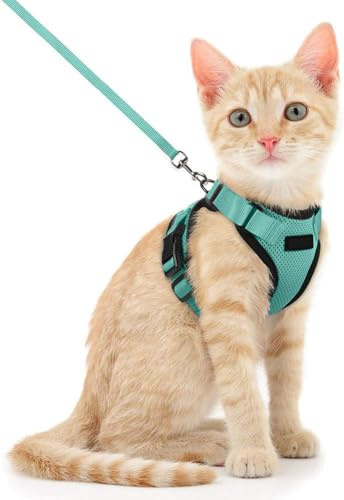 Voarge Arnes Gato, Ajustable con Correa de 150cm, Seguridad para Pequeño Medio Grande Adulto Cachorros Cat Harness para Caminar Viajes, XS, Azul Lago