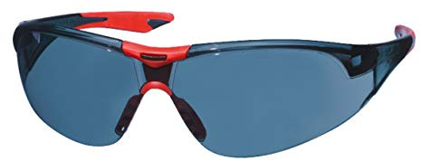 Einhell 49379810 - Ogenomskinliga skyddsglasögon