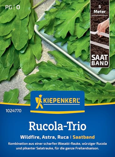 Kiepenkerl Rucola-Triosamen Trio 1024770 - Spannende Kombination aus Wasabi, Rucola und Salatrauke mit einem Inhalt für 5 lfd. Meter - Saatband, Pflanzen, Gemüsesamen