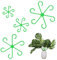 LAJUP Soporte Plantas Trepadoras 4 Piezas Clips De Soporte Para Plantas Fijación Para Plantas Negro Tutores Para Plantas Trepadoras Plantas En Maceta, Anémonas, Tomates, Hortensias