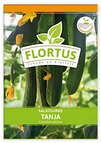 FLORTUS Salatgurke Tanja | Gemüsesamen | Gurkensamen | Salatgurkensamen | Samen zur Anzucht für Garten, Balkon, Küche & Fensterbank