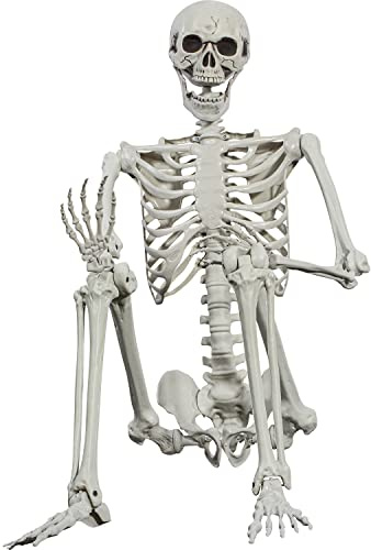 SIFOEL 165cm Esqueleto móvil de Hueso Humano de tamaño Real Real con articulaciones móviles para la decoración de Casas embrujadas de Halloween (1)