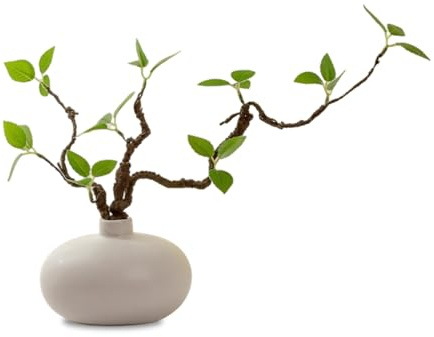 Hsyadazi Planta artificial en maceta en jarrón de cerámica | Conjunto decorativo listo para usar con plantas verdes simuladas para salón y oficina | Plantas ornamentales verdes realistas