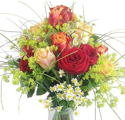 Premiumblumenstrauß mit 15 langstieligen Rosen # Premiumstrauß # Großer XXL Strauß # Rot # Gelb-Rot # Creme