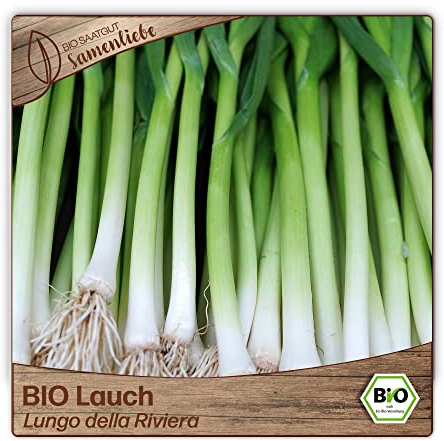 Samenliebe BIO Lauch Samen Lungo della Riviera 200 Samen samenfestes Gemüse Saatgut für Gewächshaus Freiland und Balkon BIO Gemüsesamen mehrjährig und winterhart