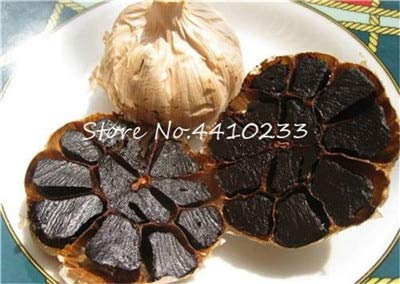 Graines de légumes à l'ail frais à planter en noir paquet de 100 graines