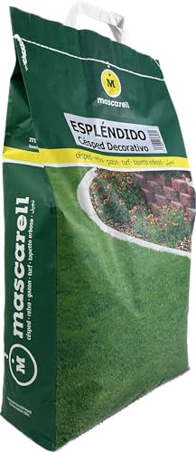 Mascarell Semillas, ESPLÉNDIDO-PROFESIONAL, Semillas de Césped, Verde y Duradero, Compacto y Resistente, 5KG