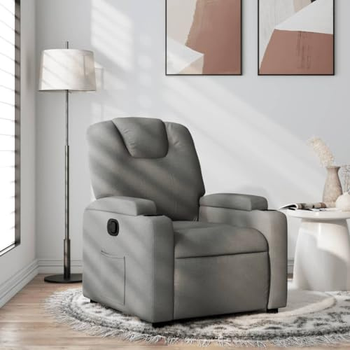 Willood Sillón Reclinable, Silla con Respaldo Reposabrazos, Sillón de Televisión Relax Descanso, Asiento para Salón Hogar, Tela Gris Oscuro