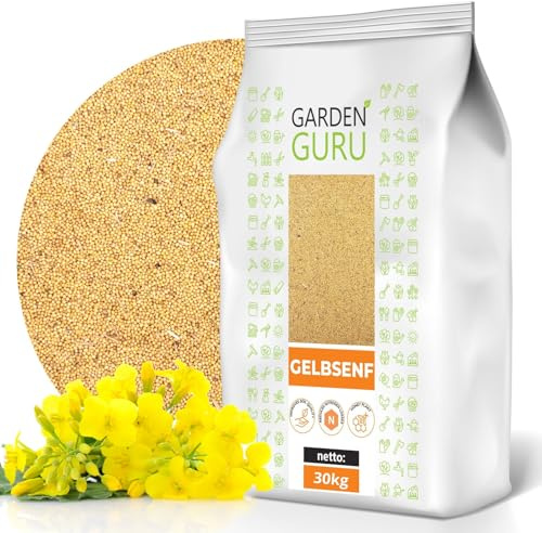 Gelbsenf 30 kg Gründünger Saatgut Senf gelb Senfsaat TOP Bienenweide Pollen Samen für Zwischenfrüchte, verbessert die Bodenqualität, hemmt das Wachstum von Unkraut, lockert den Boden auf