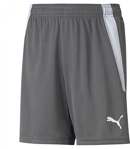 PUMA Unisex Baby Teamliga Shorts Jr, Grau, 116