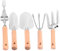 HEMOTON 1 Set Giardinaggio Strumenti in Inossidabile per Stretta Forche Rastrello Denti Estirpatore