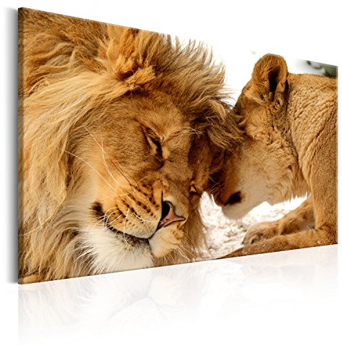 murando Cuadro Acústico espuma acústica absorbe el sonido aislamiento lienzo de 1 pieza Impresión Artística Decoración de Pared