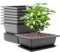 AKOLAFE Lot de 8 grands bols à bonsaï - 22,5 x 16,5 x 7,5 cm - Avec soucoupe - En plastique - Pour l'intérieur et l'extérieur - Pour jardin, salon, balcon