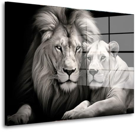 Löwe und Löwin schwarz weis Acrylglas Wandbild Bild Wanddeko Wohnzimmer XL Größe 40x30cm