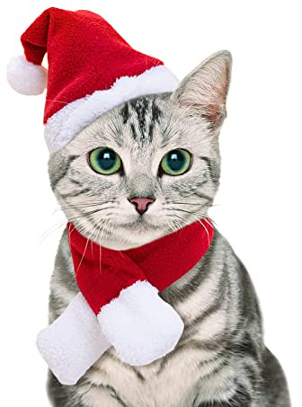 Namsan Chapeau Noël pour Chat et Chien Chic - Bonnet avec Écharpe pour Déguisement - Costume de Noël pour Animal de Compagnie-S