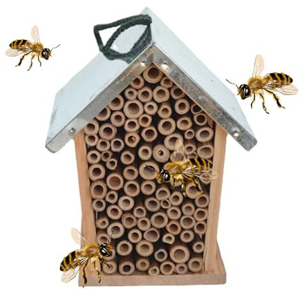 Bienenhaus - 10 cm Hanging Hotel | Marienkäferhaus | Offener Designlebensraum Für Garten | Dekorative Nistkasten Im Freien Für Bienen, Schmetterlinge Und Lacewings