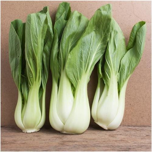 Pacchetto di 300 semi, Pak Choi Bianco Stem Semenza di cavolo (Brassica rapa)