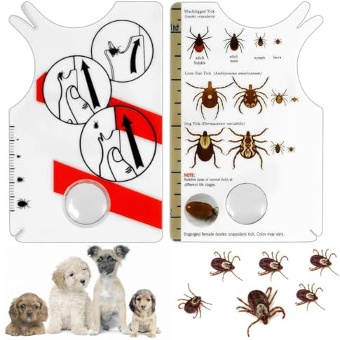 WUSJCOF Tick Card Pack of 2 with Magnifying Glass, Tick Removal for People, Children and Pets, Tick Card for Cats and Dogs, Quick and Safe Tick Removal