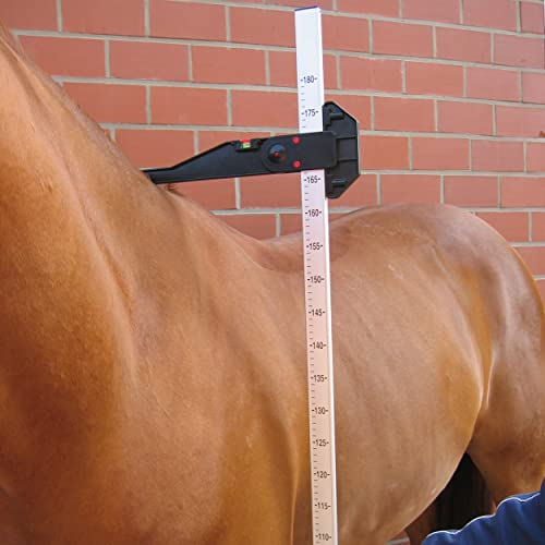 BUSSE Stockmaß ALU, aluminium, 180 cm, 180