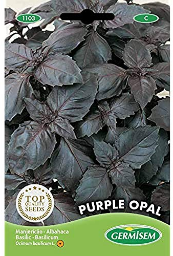 Germisem Basilikum PURPLE OPAL, EC1103, mehrfarbig