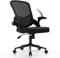 naspaluro Ergonomischer Bürostuhl, Schreibtischstuhl mit klappbaren Armlehnen, höhenverstellbar, Neigefunktion, atmungsaktive Rückenlehne, Drehstuhl 360°, Schwarz