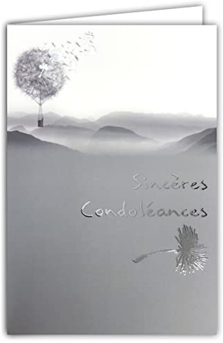 Afie 64-1034 - Tarjeta de condolencias (11,5 x 17 cm), color plateado brillante paisaje último viaje
