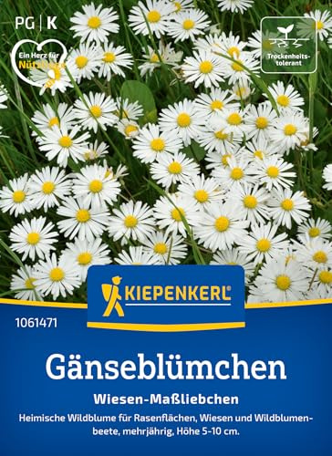 Kiepenkerl Gänseblümchensamen Wiesen-Maßliebchen 1061471, Rasensaat | Blumensamen für Wiesen und Wildblumenbeete, Wuchshöhe 5-10 cm, mehrjährig
