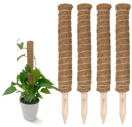 Kokos spaljé 40 cm natur – 4 stycken – växtstav för inomhusväxter – blommor, växtstång, kruka, klättringshjälp, kokosstång för klätterväxter