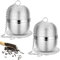 iJiZuo 2 Pezzi Infusore per Tisane, Colino da tè con Maglia, Colini da tè in Acciaio Inox a Rete, con Catena Lunga e Vassoio raccogligocce Rotondo, per Foglie di tè e Spezie e Condimenti