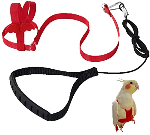 Harnais réglable pour Perroquet Laisse pour Animal Domestique Corde Anti-Morsure Sangle élastique pour Oiseaux perroquets cacatoès aras