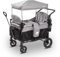 elvent® ComfortPlus 4 Sitzer Bollerwagen - Handwagen faltbar mit Dach I Feststellbremse, PU-Reifen, 5-Punkt-Gurt I für 4 Kinder (Grau) (Grau)