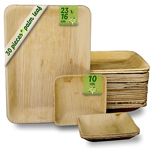Platos de Hoja de Palma 30 Piezas desechables, 25 Bandeja Rectangular de 23 x 16 cm y 5 Platos Cuadrados de 10 cm. vajilla Rustica de Madera para barbacoas y Fiesta.Alternativa a Bandeja Bambú