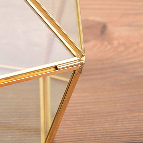 Fdit Geometrisk Glas Terrarium Smyckeskrin med Mässingslock, Geometriskt Polygon Blomhus för ring- och Halsbandsförvaring, Heminredning (Som visas)
