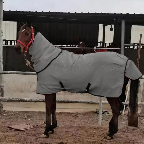 Übergangsstalldecke, Übergangsdecke Stalldecke Pferdedecke Fleece mit Widerristpolster und Kreuzbegurtung