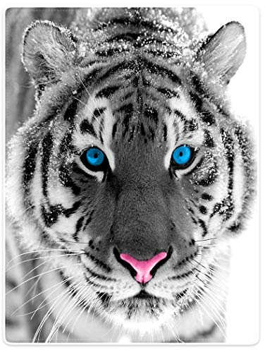 Violetpos Dick Decke Weich Wärme Gemütlich Flanell Fleece Sofadecke Deckeldecke Sibirische Tiger Blue Eyes 150 x 200 cm