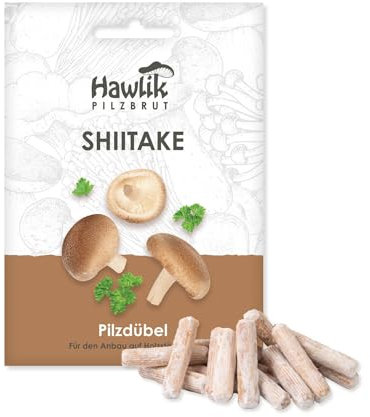 Hawlik Pilzbrut - Tasselli per funghi shiitake per la coltivazione su legno - 20 pezzi - Lentinula edodes micelio - Facilissimo da coltivare funghi shiitake in giardino