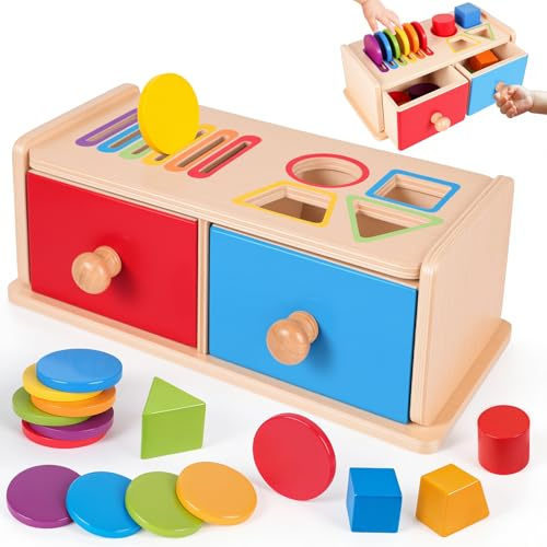 Montessori Spielzeug ab 1 Jahr, Spielzeug ab 1 2 Jahre Mädchen Jungen Baby Spielzeug Geschenk Mädchen Jungen 1 2 Jahre Kinderspielzeug Motorikspielzeug Holzspielzeug ab 1 Jahr Farbe Sortierspiel