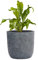 Pflanzwerk® Pflanzkübel Cup - Blumentöpfe Übertöpfe Ø34cm Lava ANTHRAZIT *Frostbeständige Blumenkübel* *UV-Schutz* *Pflanzenkübel Premiumqualität*