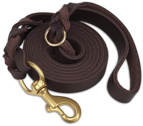 Joytale Guinzaglio Cane Cuoio, Guinzaglio In Pelle Per Cani Con Robusto Gancio In Ottone, Morbido E Resistente, Adatto A Cani Di Piccola Media E Grande Taglia（Marrone, 150cm×2cm）