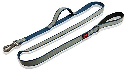 Heavy Duty Dog Leash | Double Handle Dog Leash To Hold Strong Dogs | Reflective Dog Leashes For Safe Night Walks | 6 Foot Dog Leash w/ Lockable Clip For Security | For Medium & Large Dogs