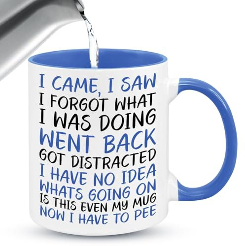 I Came I Saw I Forgot Funny Mugs for Men Presents Quirky Gifts for Women Novelty Mug Christmas Birthday Retirement Leaving Colleagues Funny Gifts Secret Santa Ceramic Coffee Mug 350ml Blue
